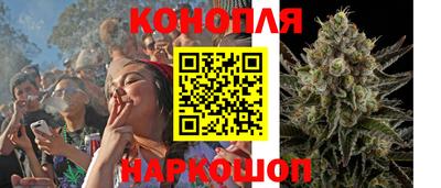 прущие крисы Гусиноозёрск