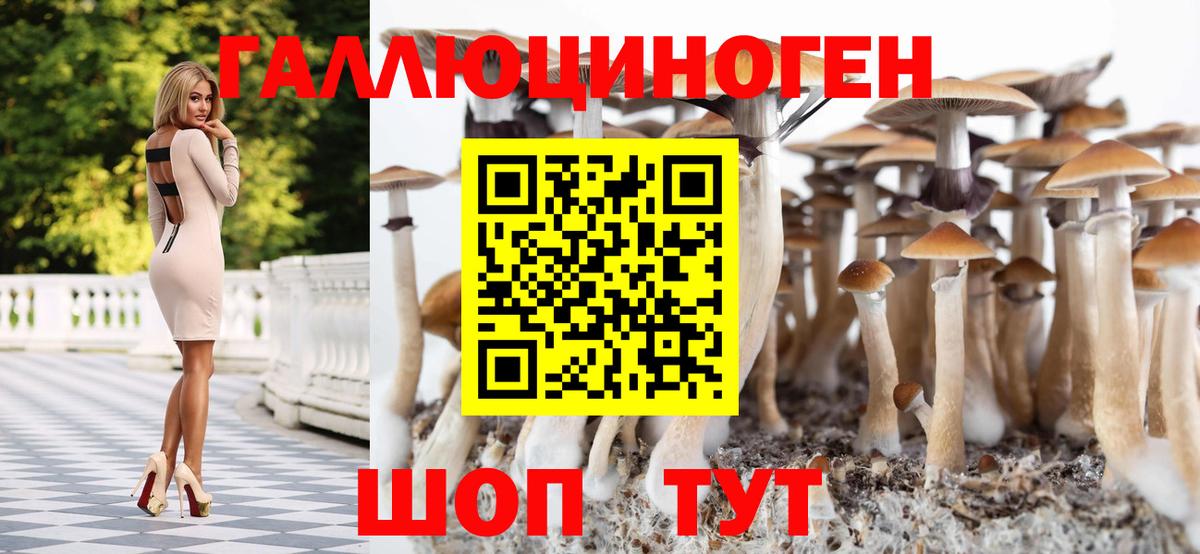 Галлюциногенные грибы Magic Shrooms Можга